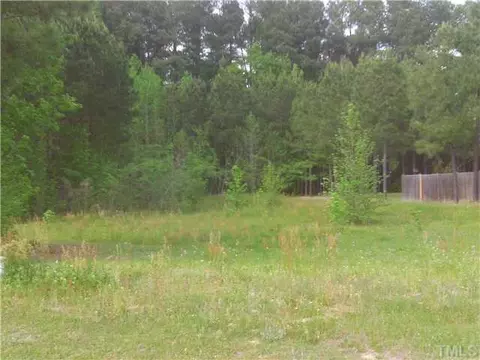 172 S Mac Ln, Angier, NC 27501 photo 3