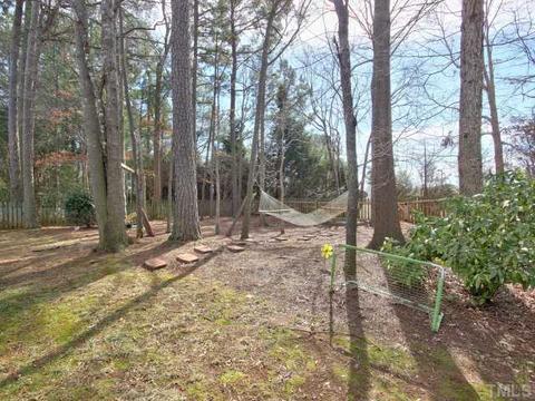 123 Selsey Dr, Wake Forest, NC 27587 photo 23
