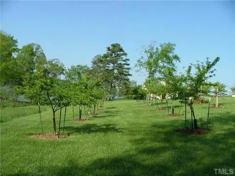1318 Covington Rd, Semora, NC 27343 photo 25