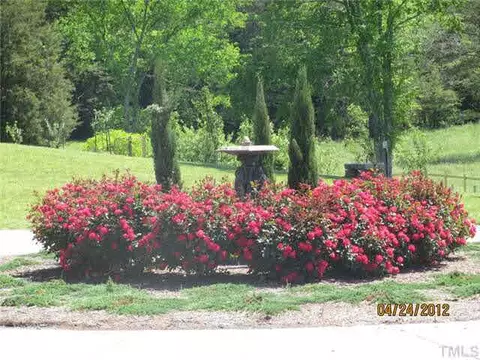 1318 Covington Rd, Semora, NC 27343 photo 24