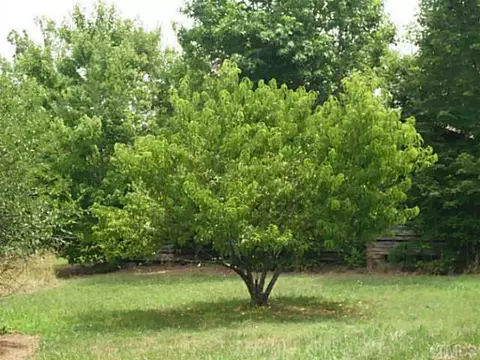 6006 Wade Loop Rd, Cedar Grove, NC 27231 photo 16