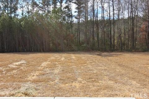 316 Coachmans Trl, Stem, NC 27581 photo 18