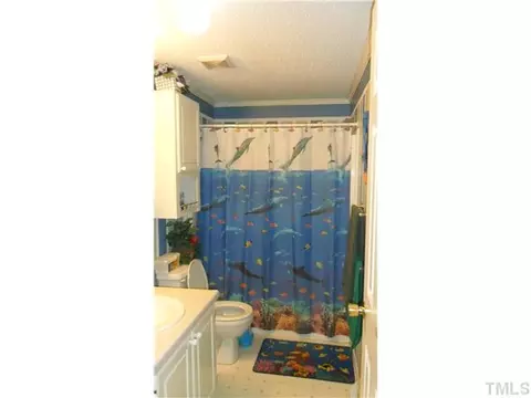 2436 Gray Fox Ln, Staley, NC 27355 photo 12