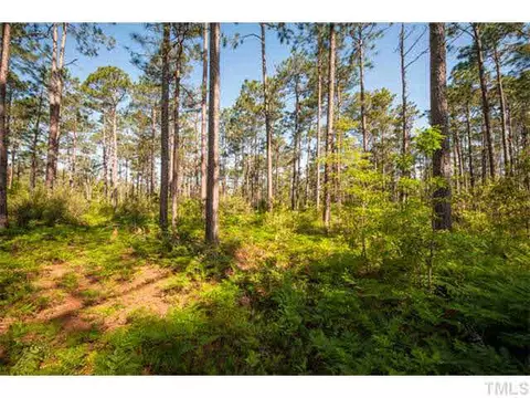 2308 Beattys Bridge Rd, Atkinson, NC 28421 photo 16