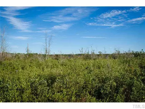 2308 Beattys Bridge Rd, Atkinson, NC 28421 photo 24