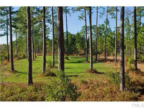 2308 Beattys Bridge Rd, Atkinson, NC 28421 photo 2