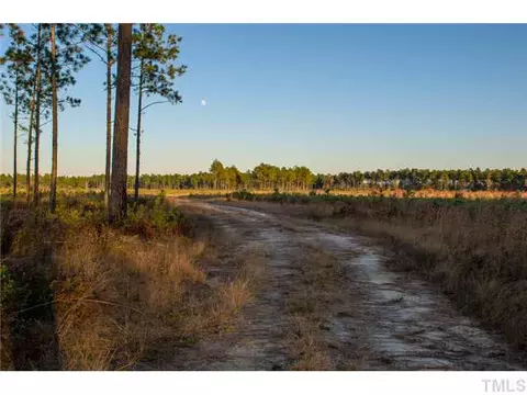 2308 Beattys Bridge Rd, Atkinson, NC 28421 photo 13