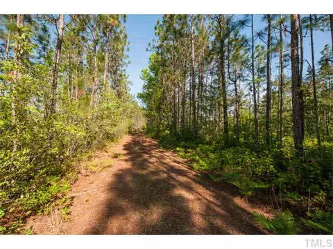 2308 Beattys Bridge Rd, Atkinson, NC 28421 photo 17
