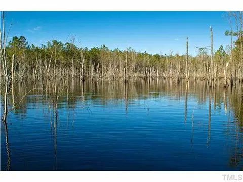 2308 Beattys Bridge Rd, Atkinson, NC 28421 photo 15
