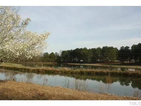 1210 Shade Tree Rd, Benson, NC 27504 photo 2