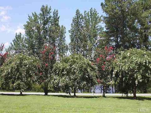 89 W Watson Rd, Benson, NC 27504 photo 12