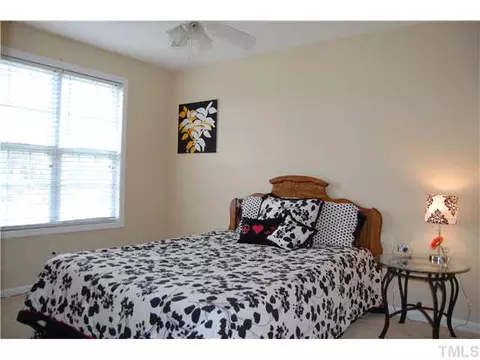 250 Silver Tee Ct, Selma, NC 27576 photo 17