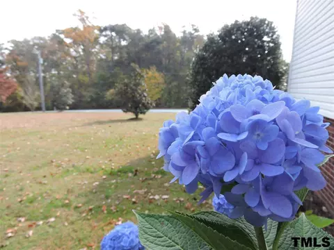 293 Manor Dr, Timberlake, NC 27583 photo 21