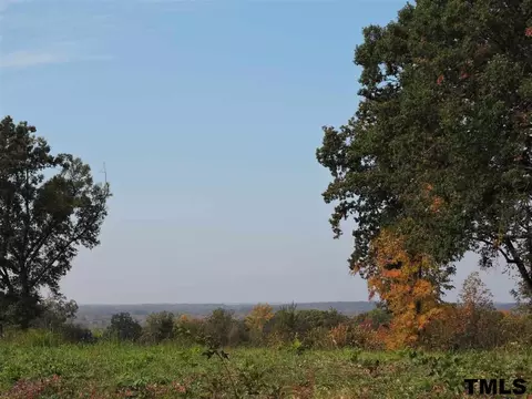 293 Manor Dr, Timberlake, NC 27583 photo 25