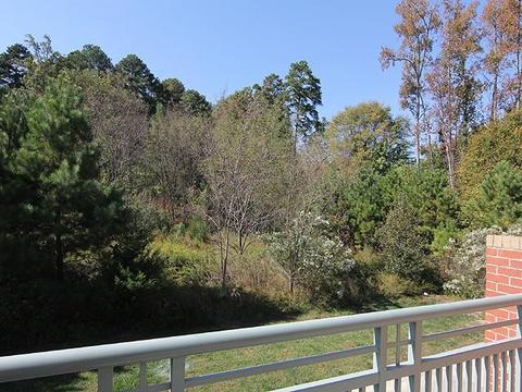 1230 Capability Dr #101, Raleigh, NC 27606 photo 13