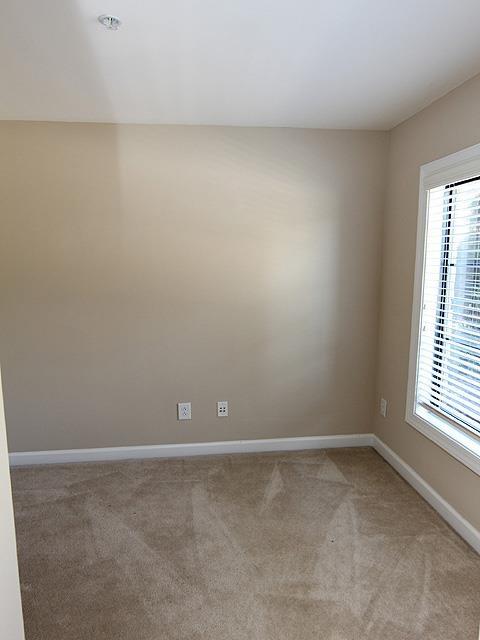 1230 Capability Dr #101, Raleigh, NC 27606 photo 3