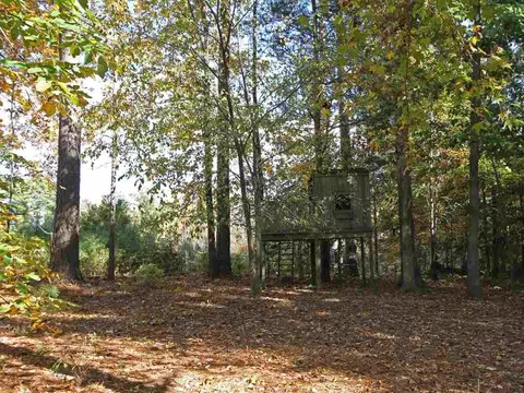 3401 Ventura Cir, Wake Forest, NC 27587 photo 25