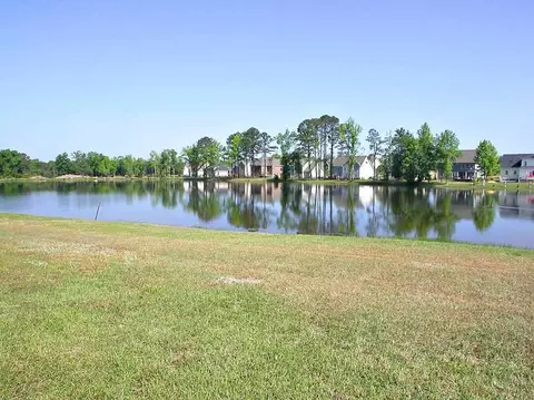 9728 Bitter Melon Dr, Angier, NC 27501 photo 2