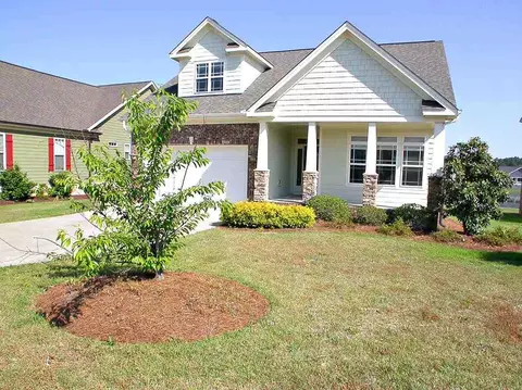 9728 Bitter Melon Dr, Angier, NC 27501 photo 1