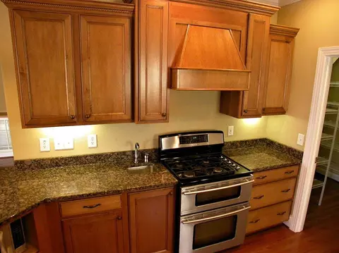 9728 Bitter Melon Dr, Angier, NC 27501 photo 9