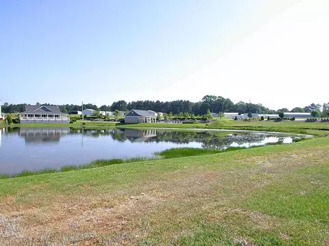 9728 Bitter Melon Dr, Angier, NC 27501 photo 19