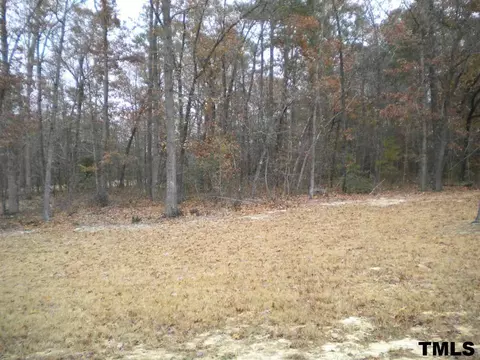 172 Plainview Pointe Dr, Angier, NC 27501 photo 23