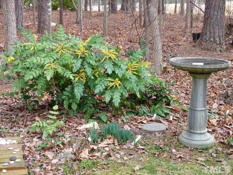 209 Lost Tree Ln, Cary, NC 27513 photo 23