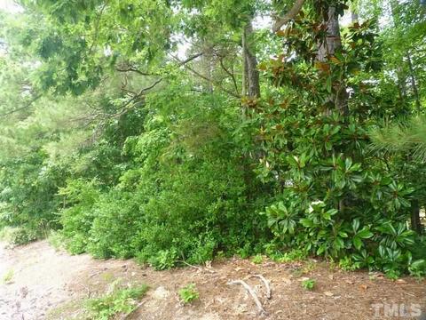 209 Lost Tree Ln, Cary, NC 27513 photo 25