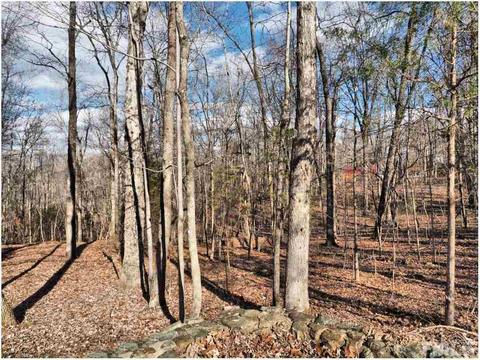 7011 Windover Dr, Durham, NC 27712 photo 23