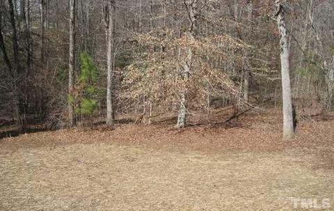 114 Crawdad Ct, Garner, NC 27529 photo 23