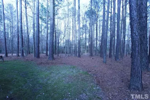 105 Maple Crest Ct, Apex, NC 27502 photo 25