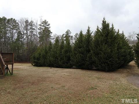 4611 Paces Ferry Rd, Durham, NC 27712 photo 10