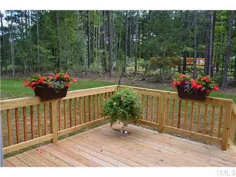 1098 Buggy Ln, Stem, NC 27581 photo 13