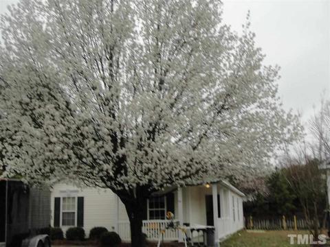 109 Checker Ct, Apex, NC 27502 photo 2