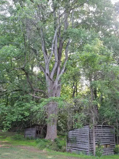 3965 Dick Holeman Rd, Timberlake, NC 27583 photo 4