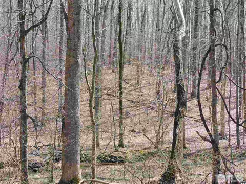 3965 Dick Holeman Rd, Timberlake, NC 27583 photo 19