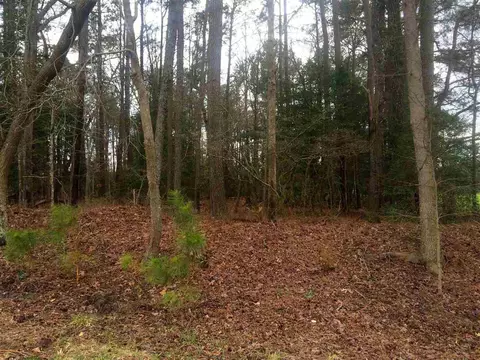 847 W Johnson Rd, Benson, NC 27504 photo 5