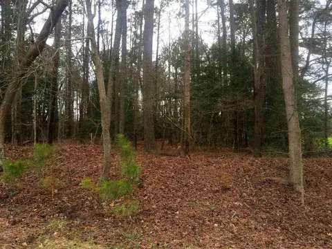 847 W Johnson Rd, Benson, NC 27504 photo 6