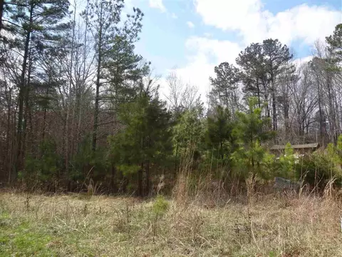 16021 New Light Rd, Wake Forest, NC 27587 photo 2
