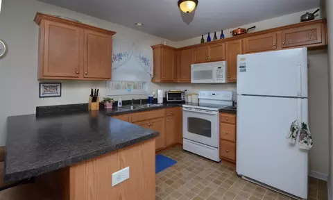 303 Gallop Ct, Stem, NC 27581 photo 8