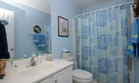 303 Gallop Ct, Stem, NC 27581 photo 16