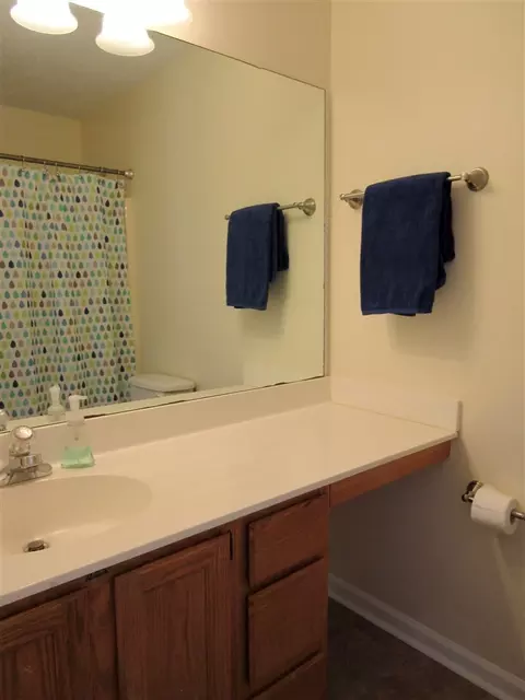 210 Hemmingwood Dr, Durham, NC 27713 photo 21