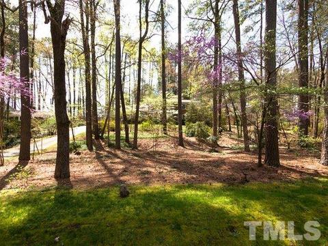 2505 Alpine Rd, Durham, NC 27707 photo 21