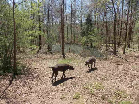 451 Plantation Dr, Kittrell, NC 27544 photo 7