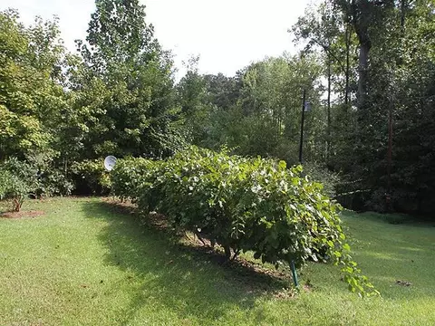 253 Summerwinds Dr, Cary, NC 27518 photo 23