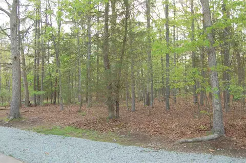 1013 Variform Dr, Durham, NC 27712 photo 10