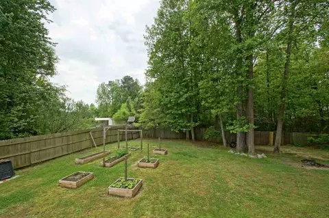 40 Gray Ghost St, Benson, NC 27504 photo 20