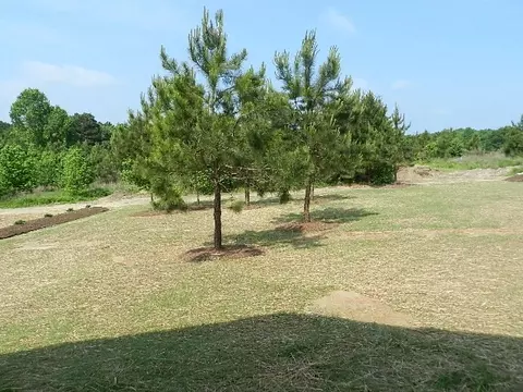 80 Retriever Ct, Garner, NC 27529 photo 12