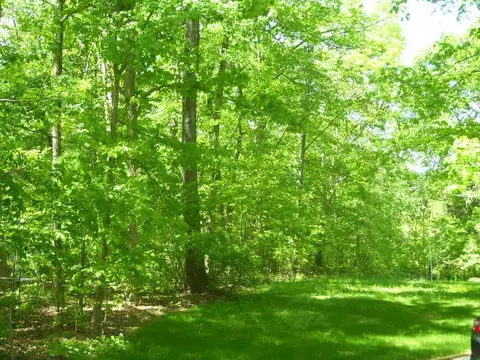 13017 Meadowridge Dr, Rougemont, NC 27572 photo 18