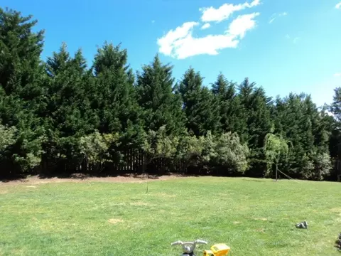 1108 Coram Flds, Wake Forest, NC 27587 photo 23